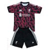 liverpool liverpool