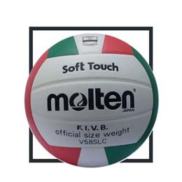 cat balones voleibol molten
