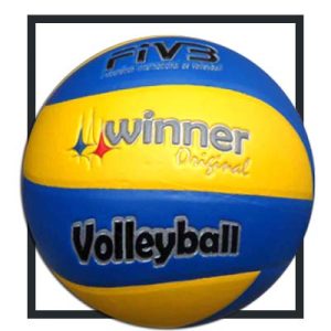 Balones de Voleibol